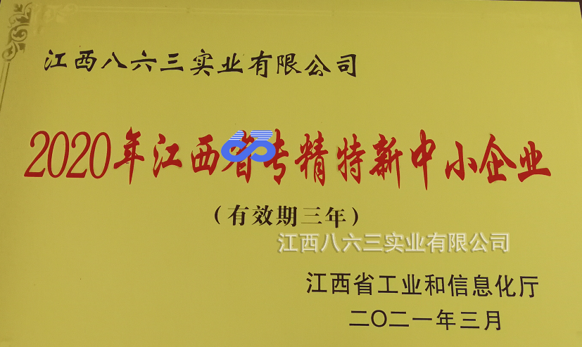 九游娱乐（NineGameSports）官方网站喜获国家级专精特新“小巨人”称号